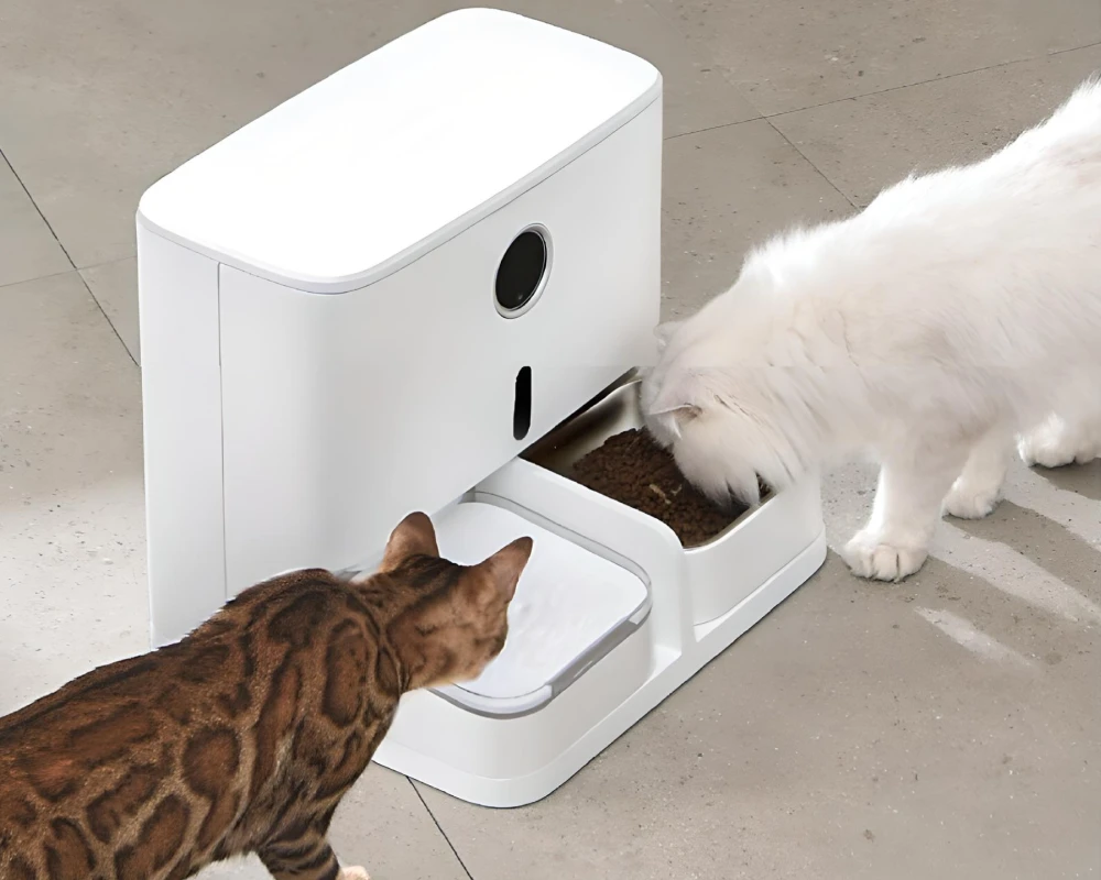 automatic pet feeding station